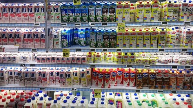 На что следует обратить внимание при покупке молока