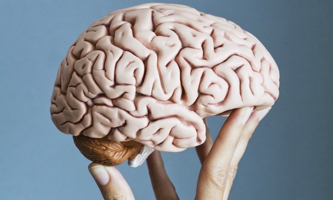 Приключения мозга: как ученые исследуют когнитивные возможности
